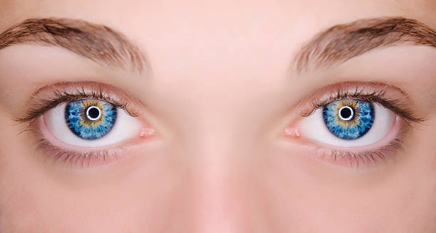 Eye Contact Lens Blue: A Complete Guide for Natural and Stylish Eyes
