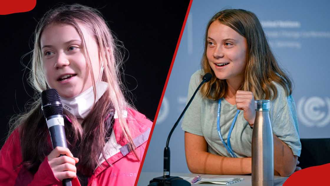 greta thunberg net worth